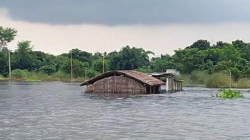 কুষ্টিয়া