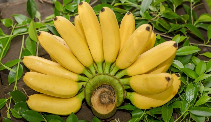 শরীর