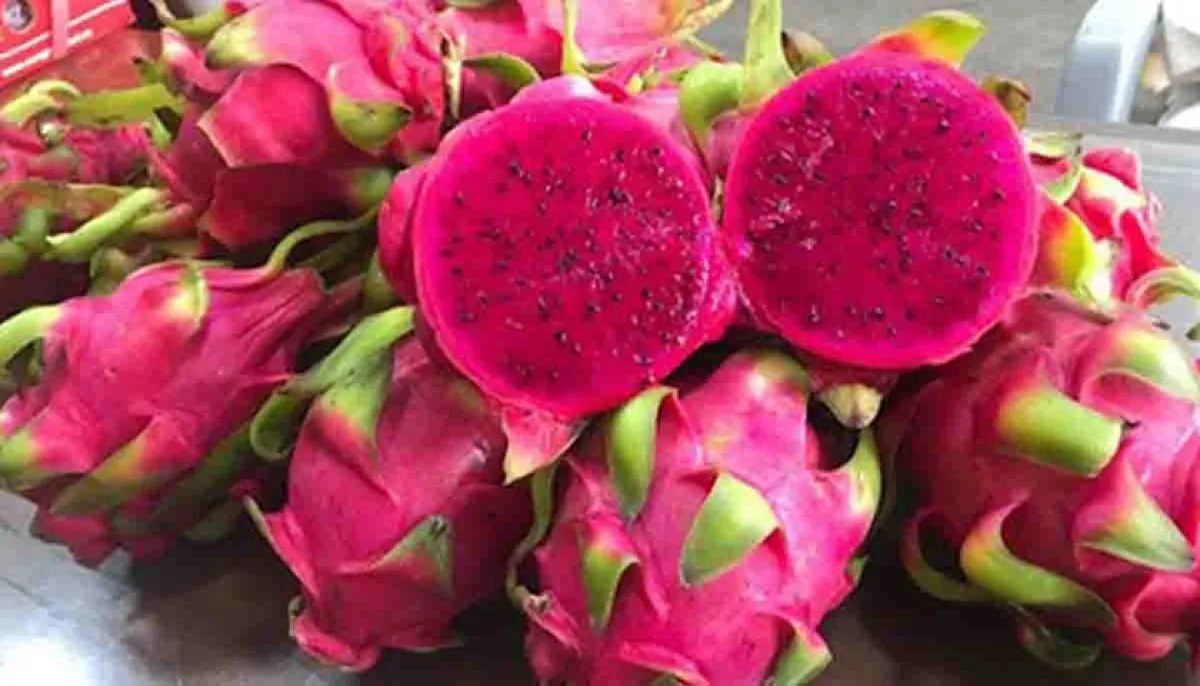 শিশুদের
